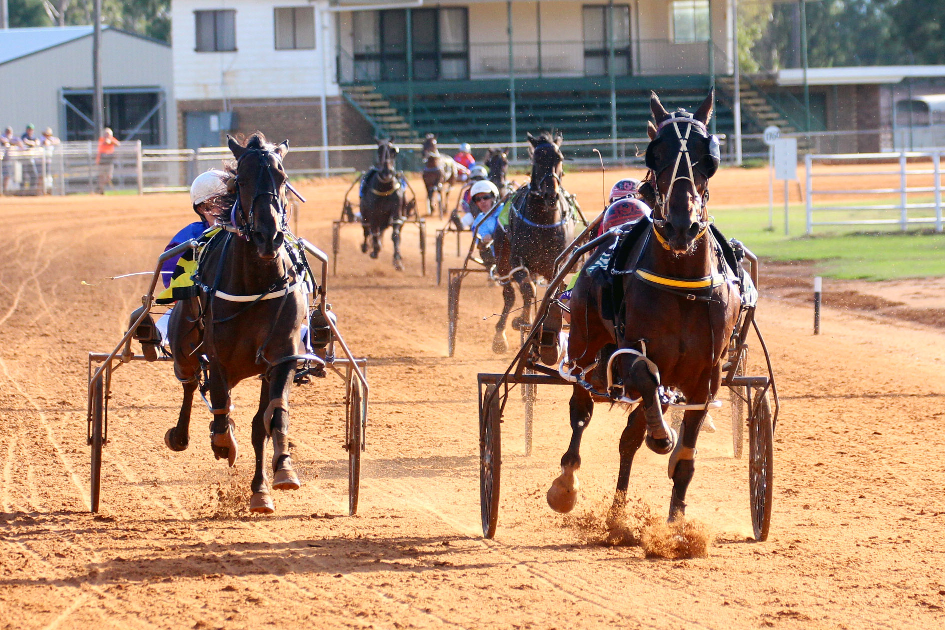 Narrabri Cup champion crowned as local harness racing club hosts second meeting of the year
