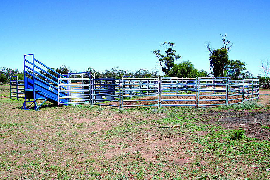 “Maryvale” productive and well-developed grazing property