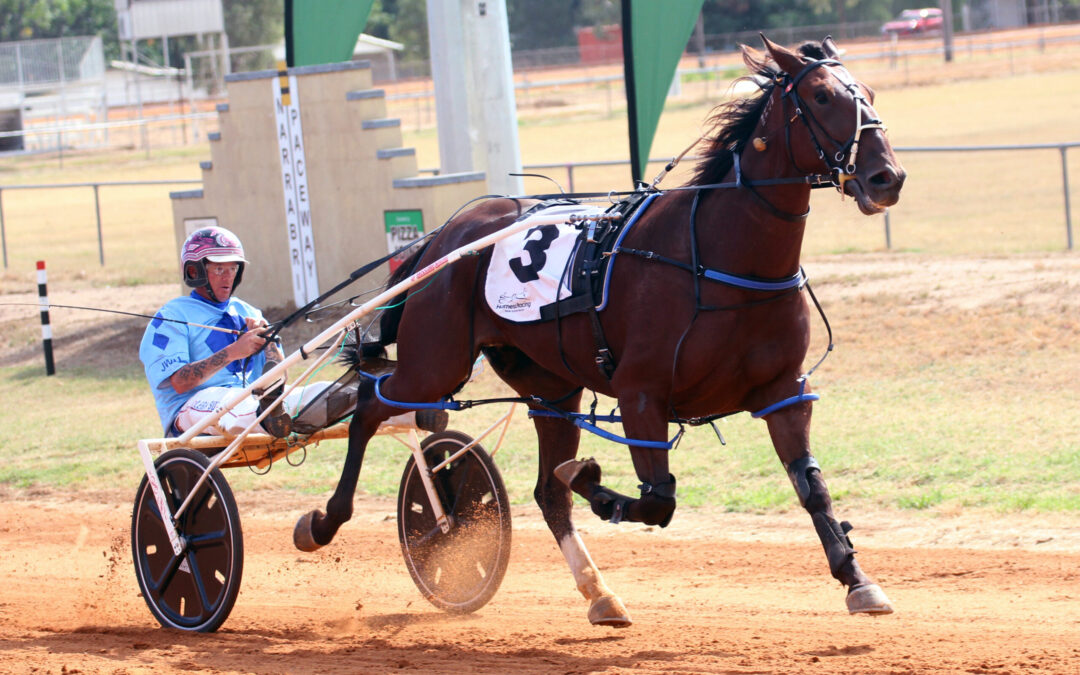 Jarred Hetherington celebrates two winners as Narrabri Harness Racing Club hosts first meeting of the year