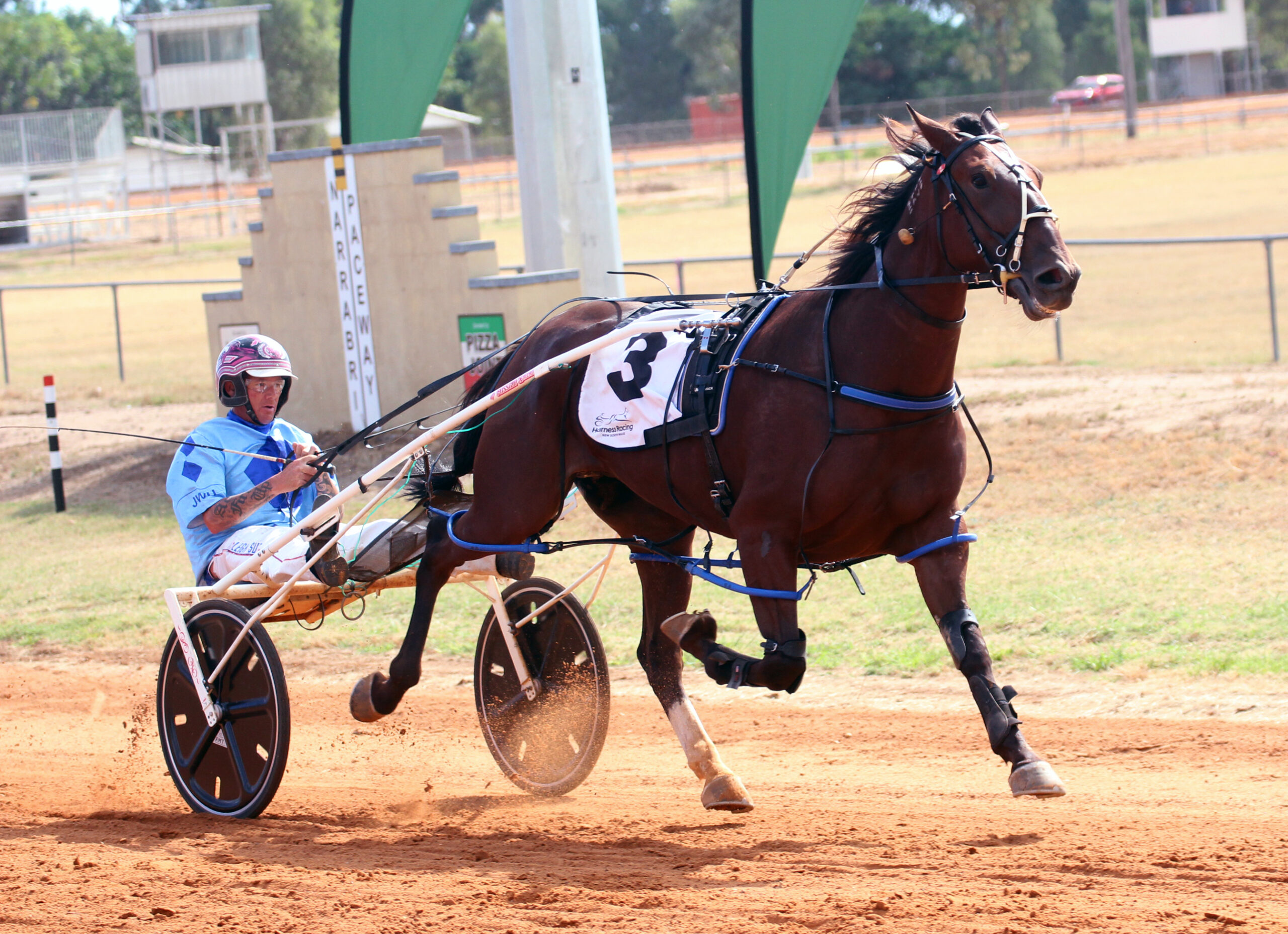 Jarred Hetherington celebrates two winners as Narrabri Harness Racing Club hosts first meeting of the year