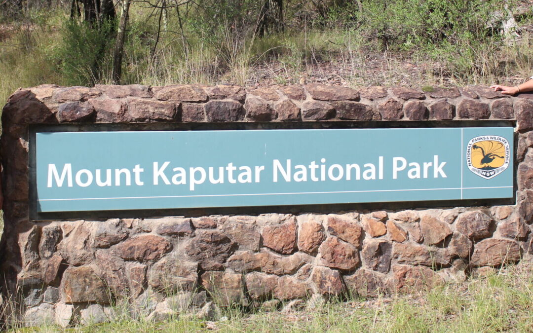 Mount Kaputar to close for aerial pest control operation