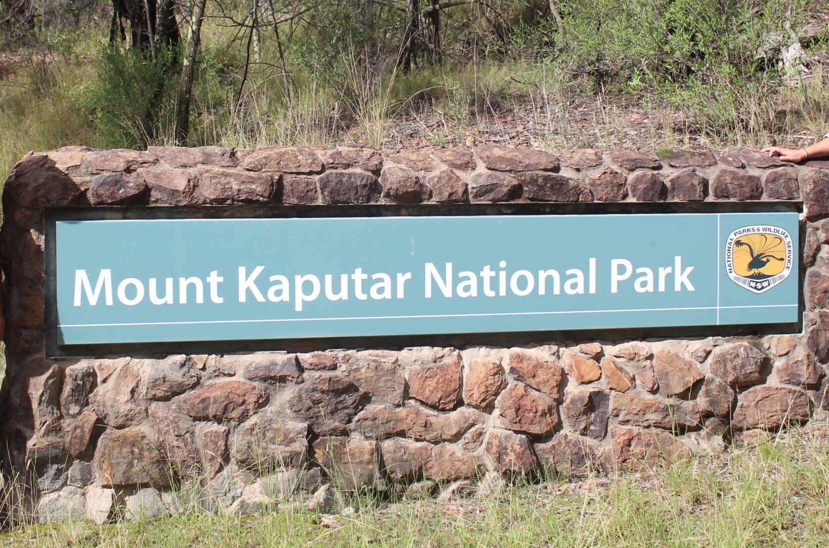 Mount Kaputar to close for aerial pest control operation