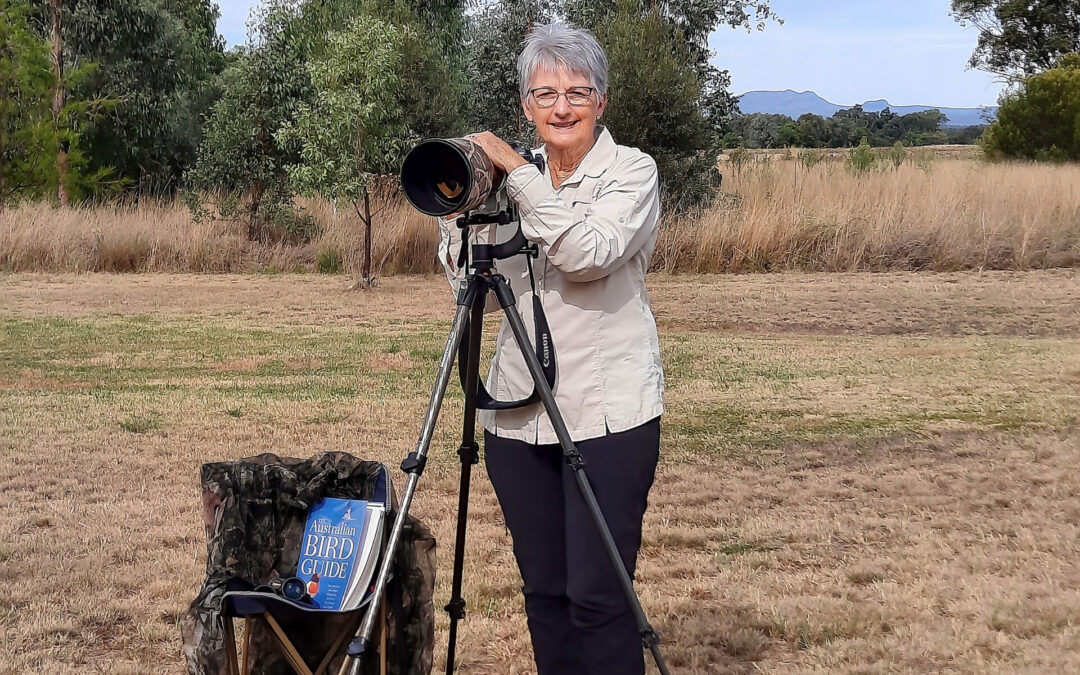 Capturing the glorious life of birds with Narrabri’s Mary Wheeler