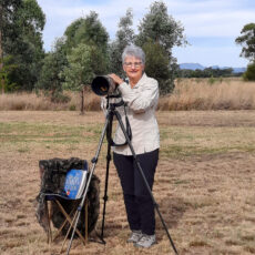 Capturing the glorious life of birds with Narrabri’s Mary Wheeler