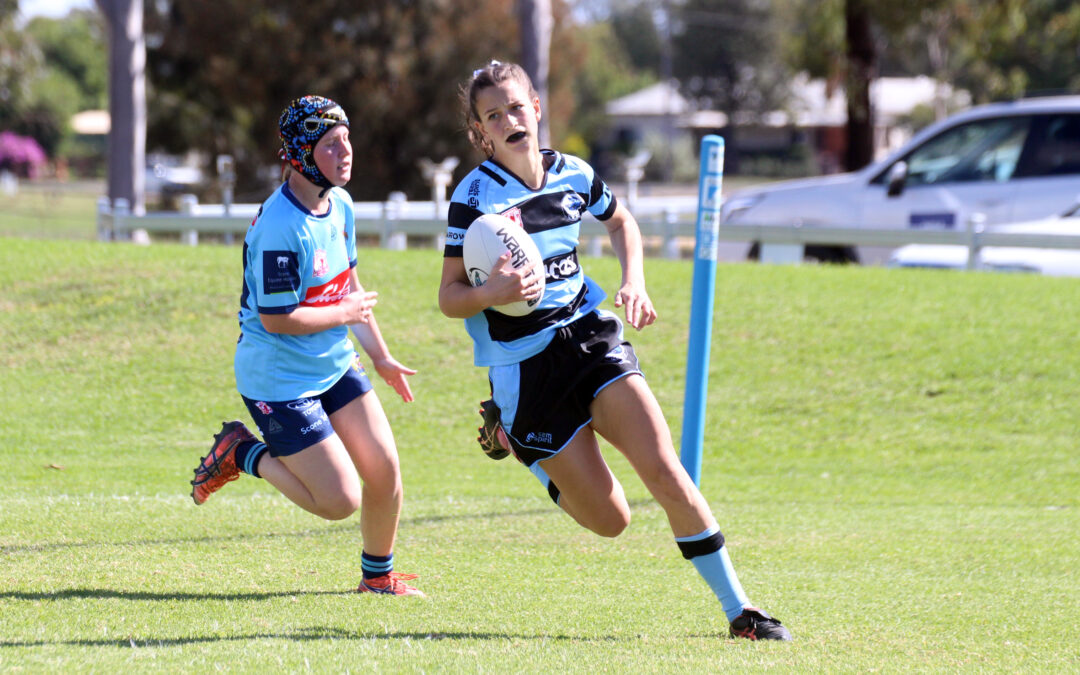 Defending champions bounce back with a big win at Dangar Park