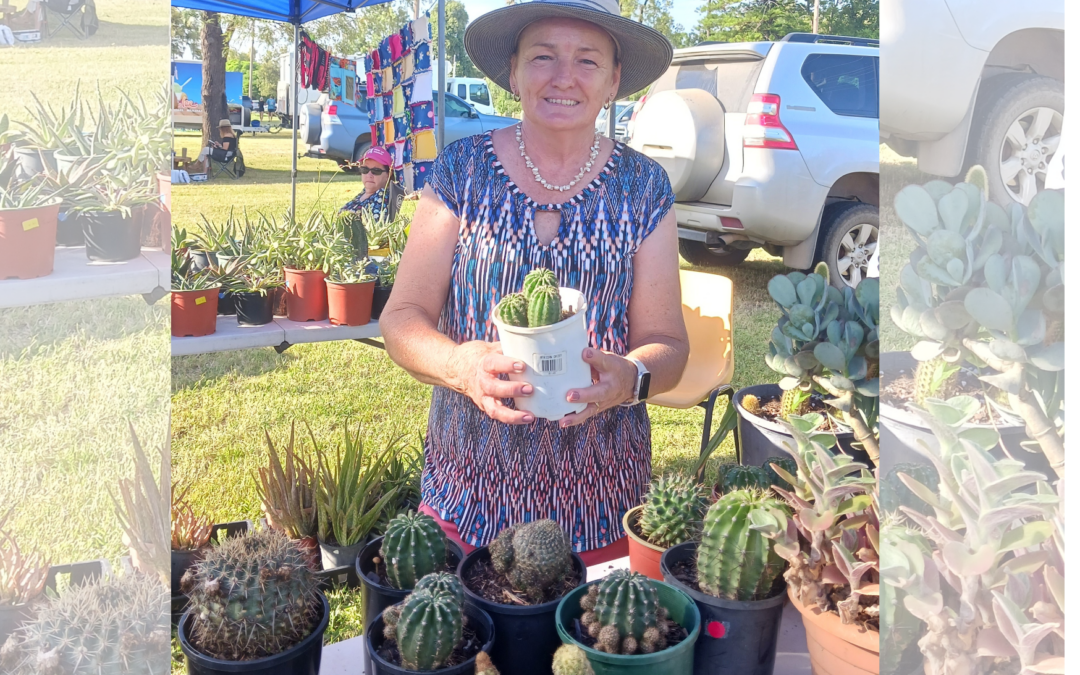 Passion for cacti and succulents