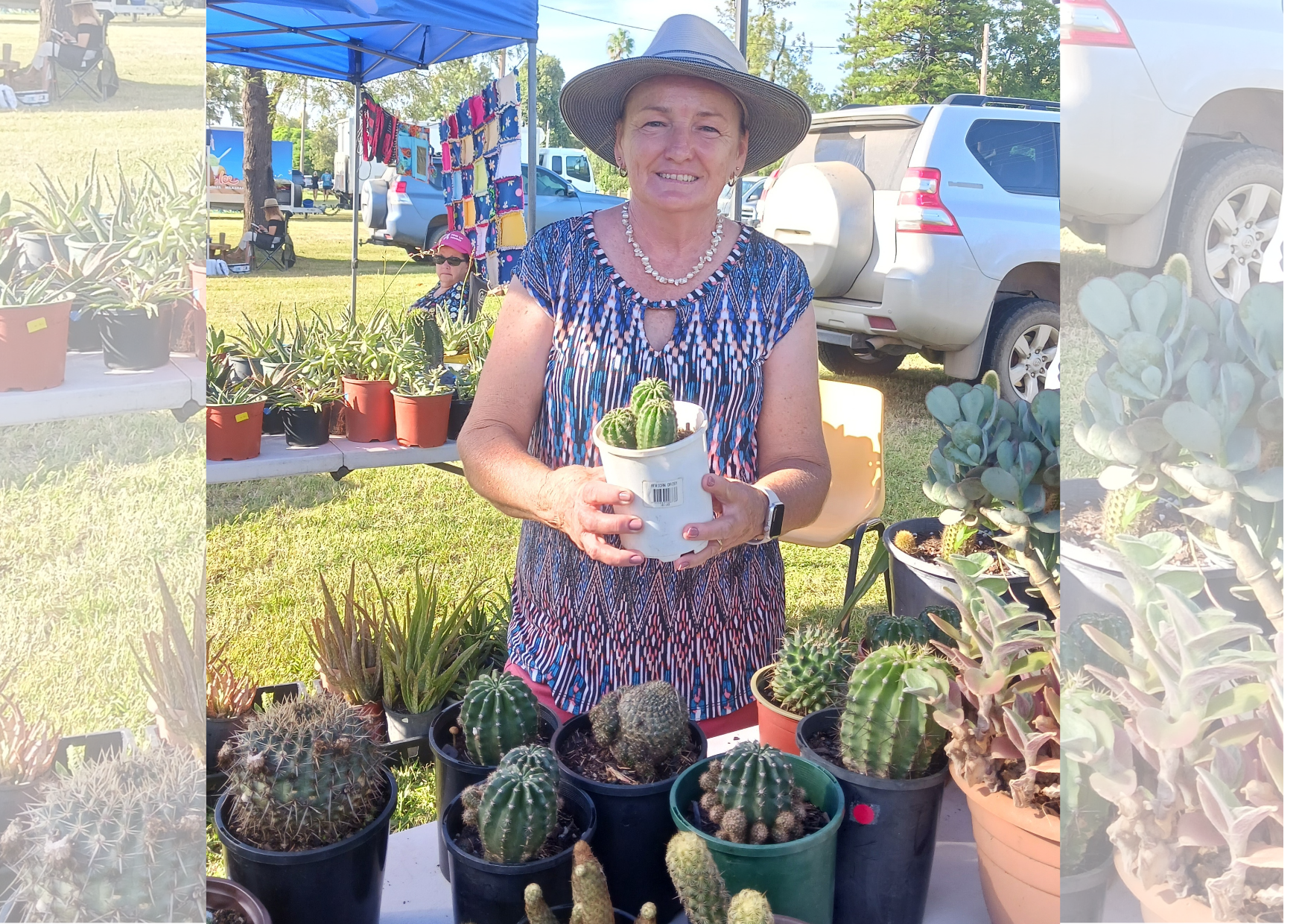 Passion for cacti and succulents