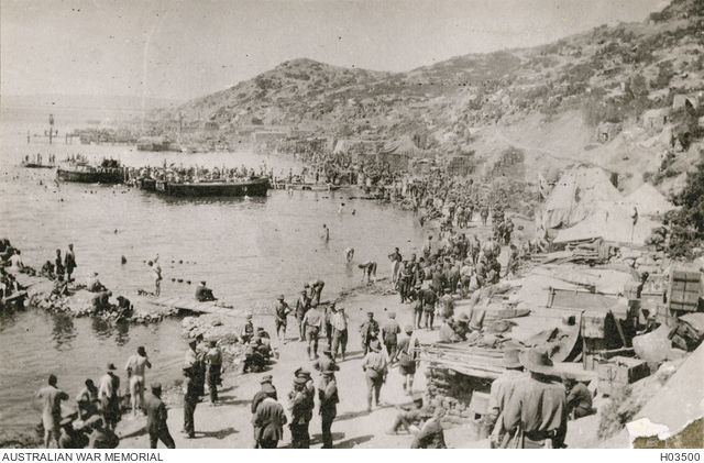 Honouring the heroism, tenacity and resilience of young men whose units were sent to Gallipoli