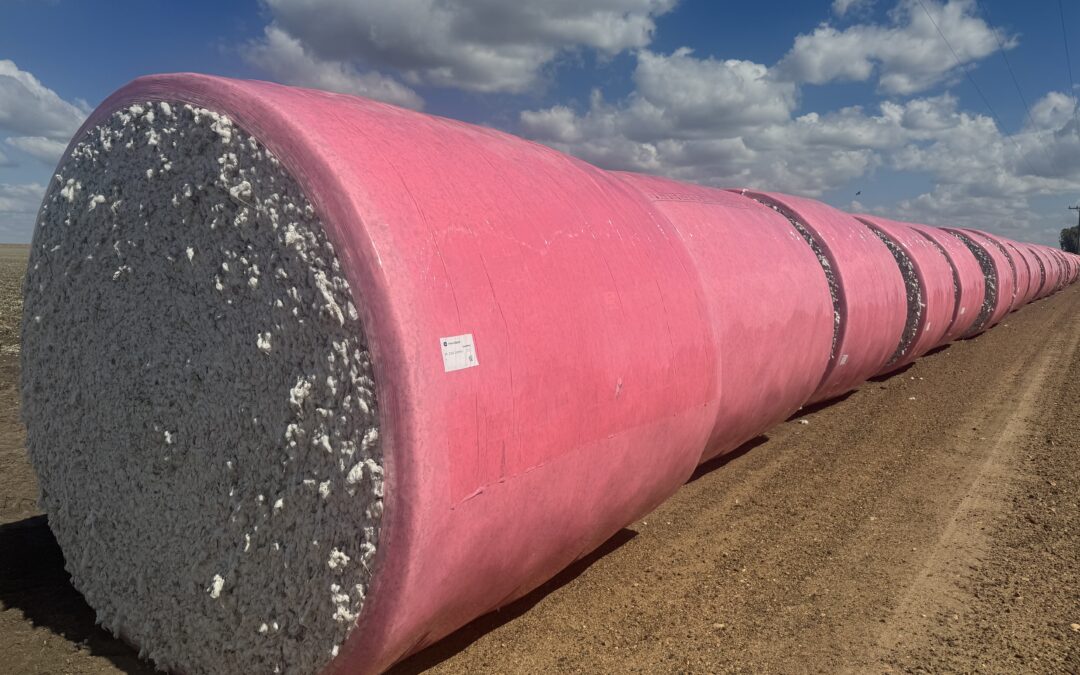IN THE PINK: Wrapping cotton for a cause