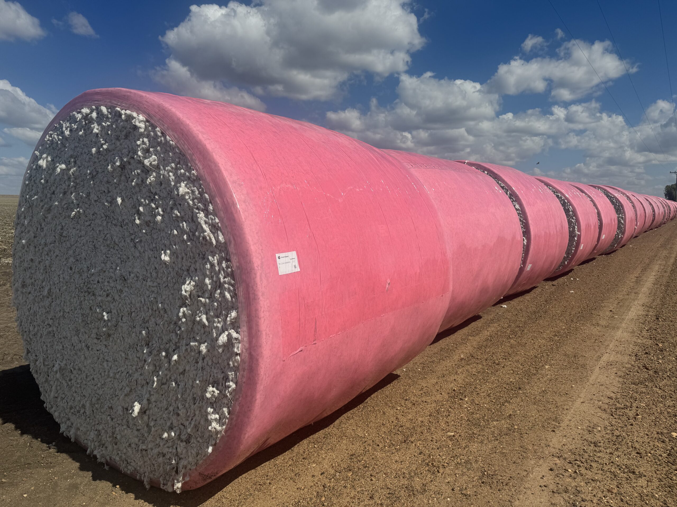 IN THE PINK: Wrapping cotton for a cause