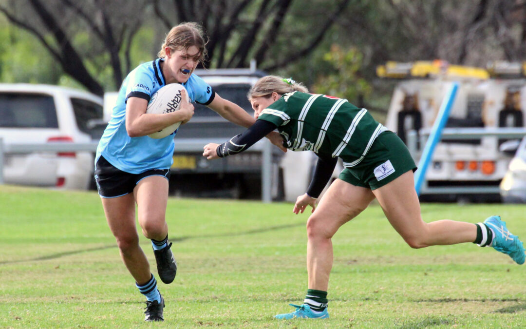 Blue Boars double up at Dangar Park with wins against Barraba