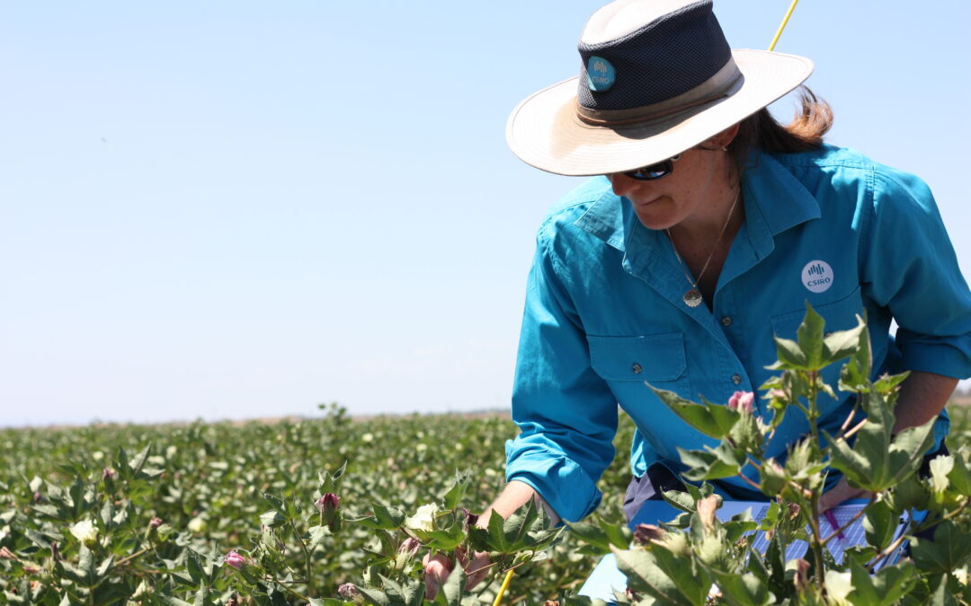 Skills shortage could lead to food insecurity