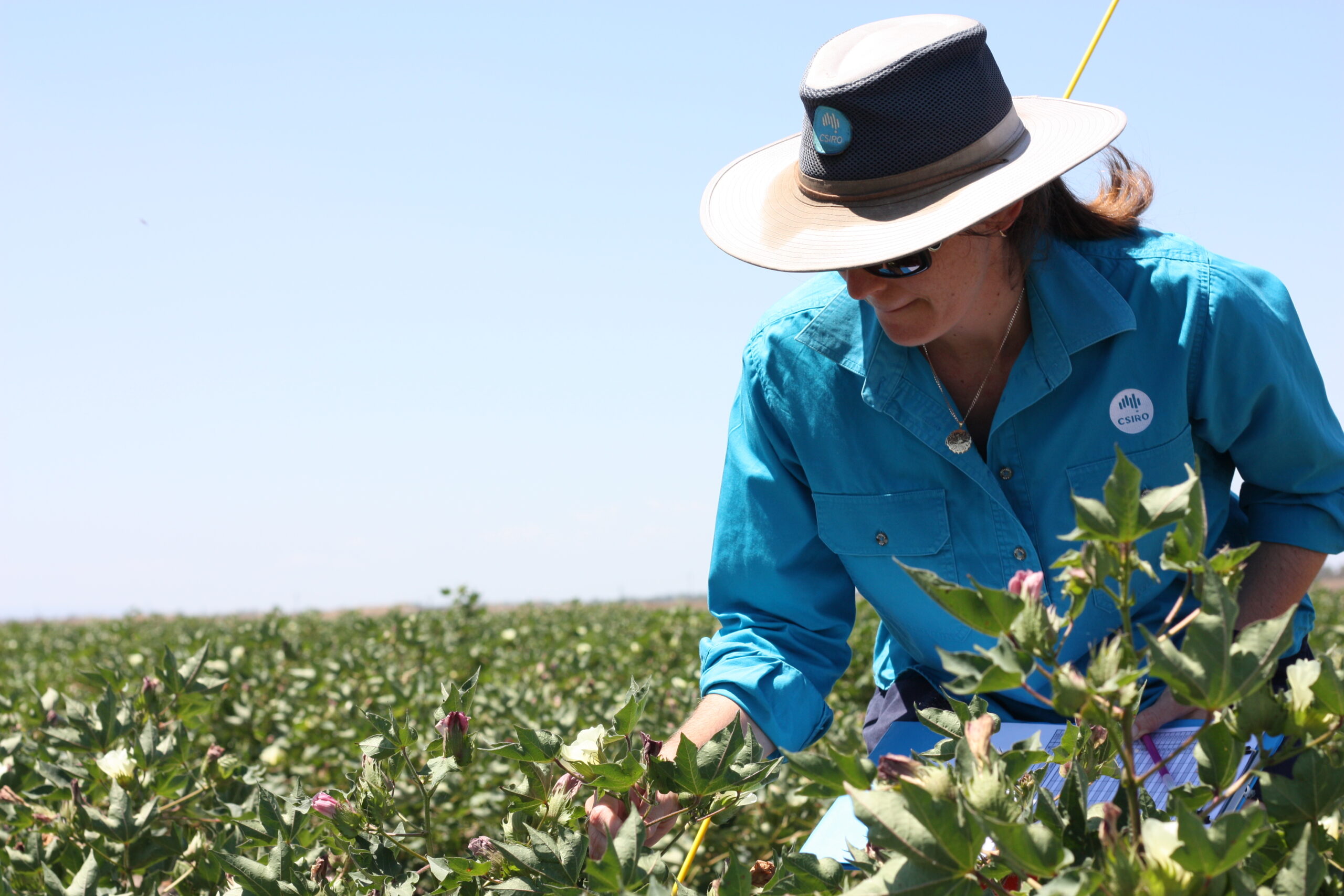 Skills shortage could lead to food insecurity