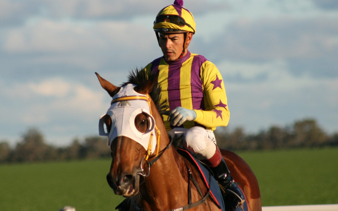 Successful return of Mallawa Races