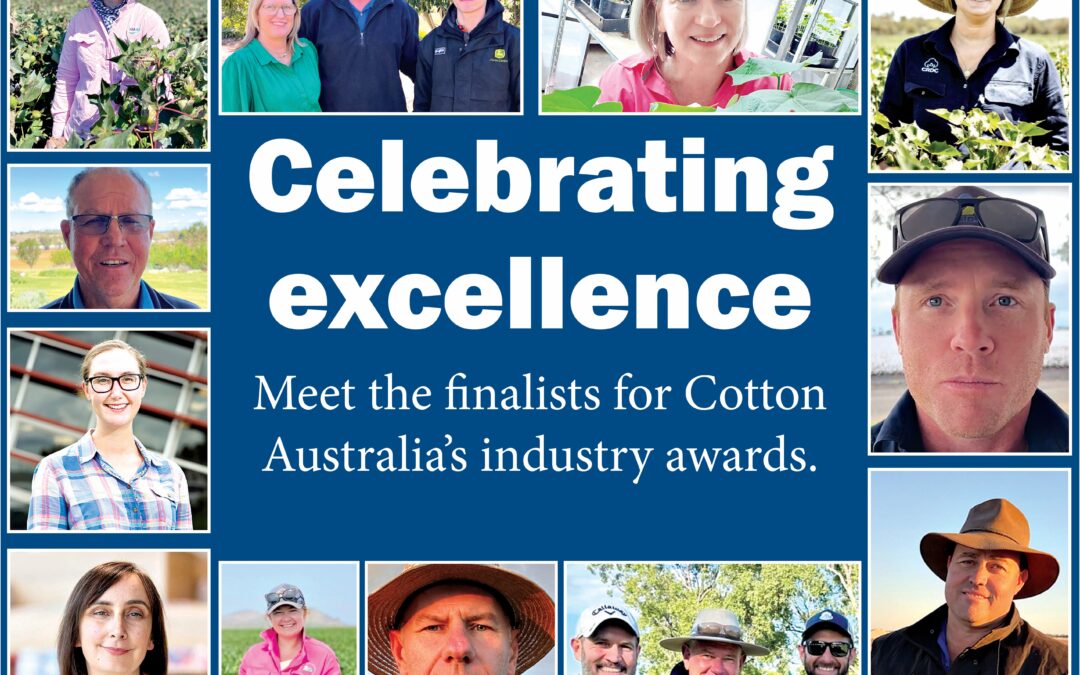 Cotton awards finalists announced