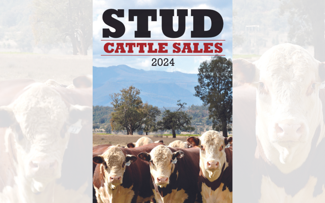 Courier publishes inaugural annual Stud Cattles Sales publication