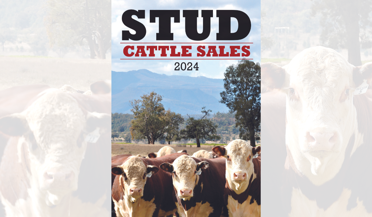 Courier publishes inaugural annual Stud Cattles Sales publication