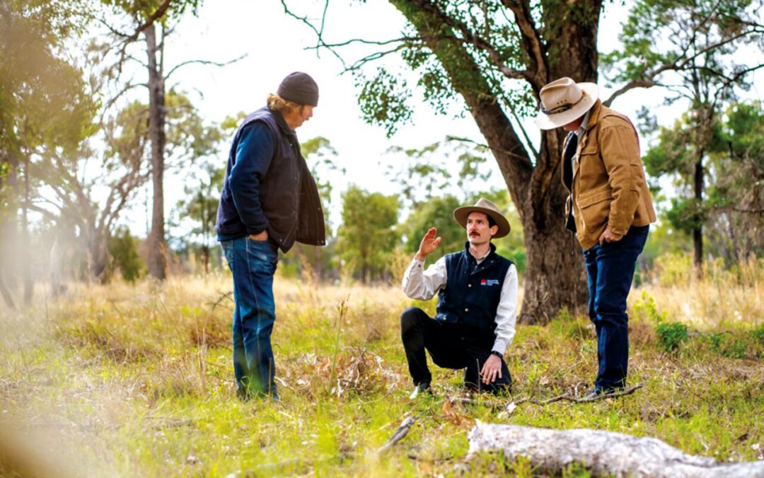 Conservation tender opens to Liverpool Plains producers