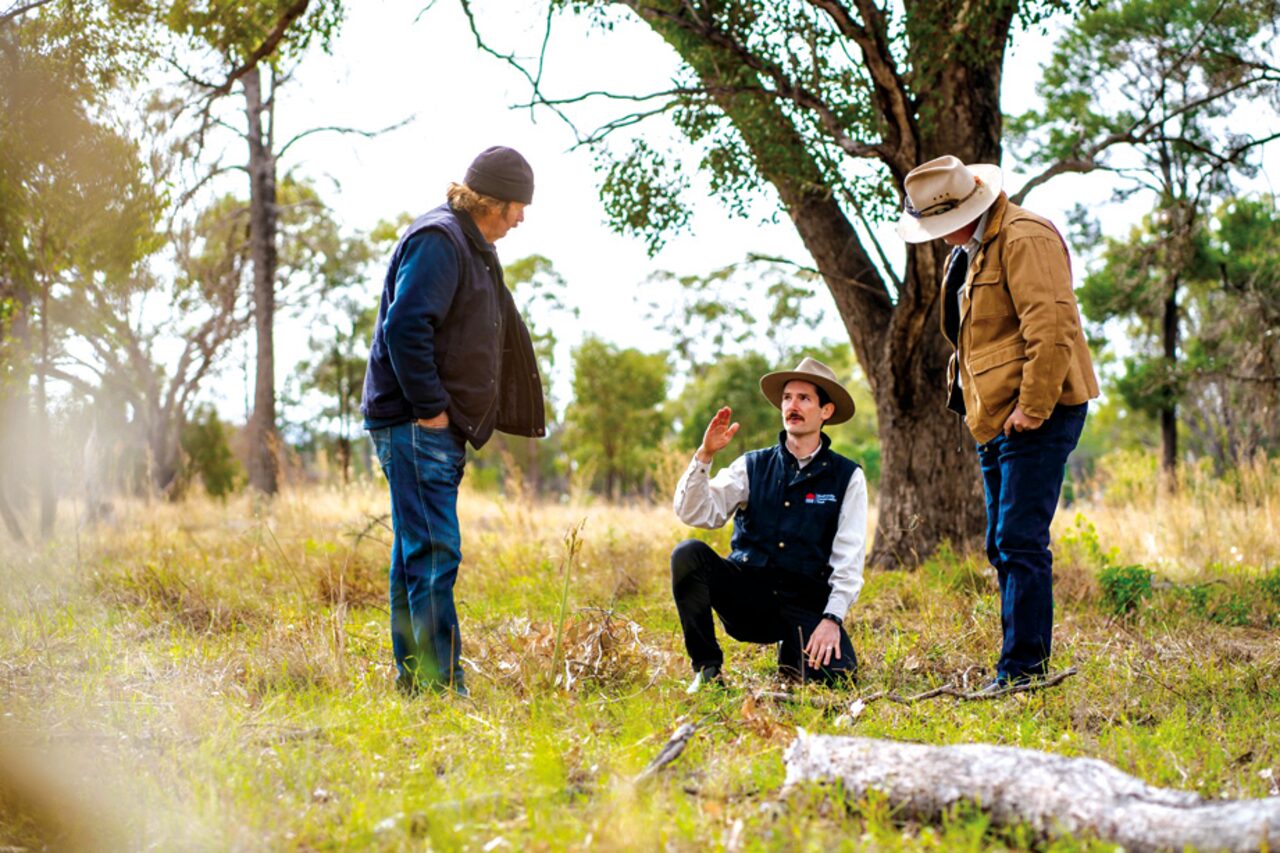 Conservation tender opens to Liverpool Plains producers