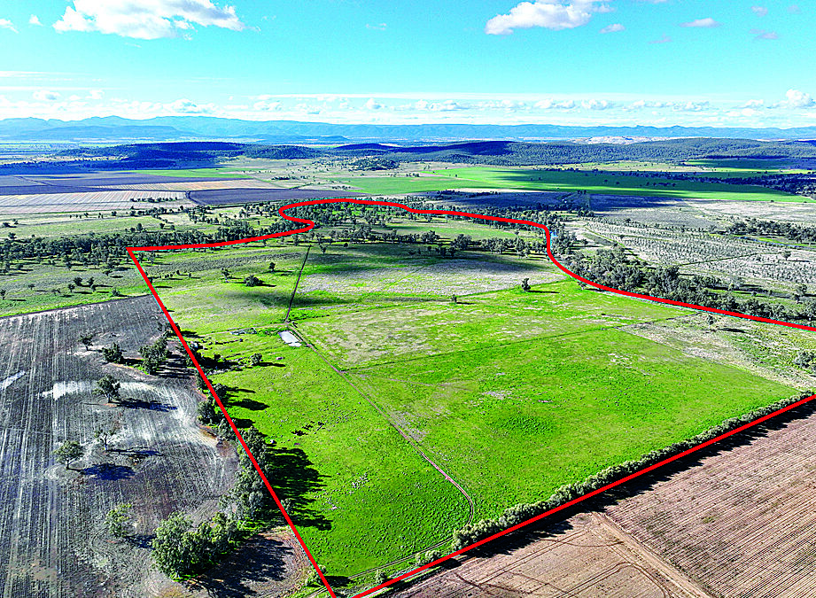 Productive Namoi River block