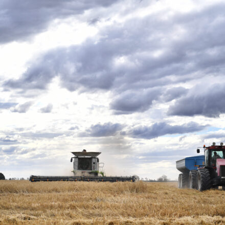 Farmers roundly welcome weedkiller court decision