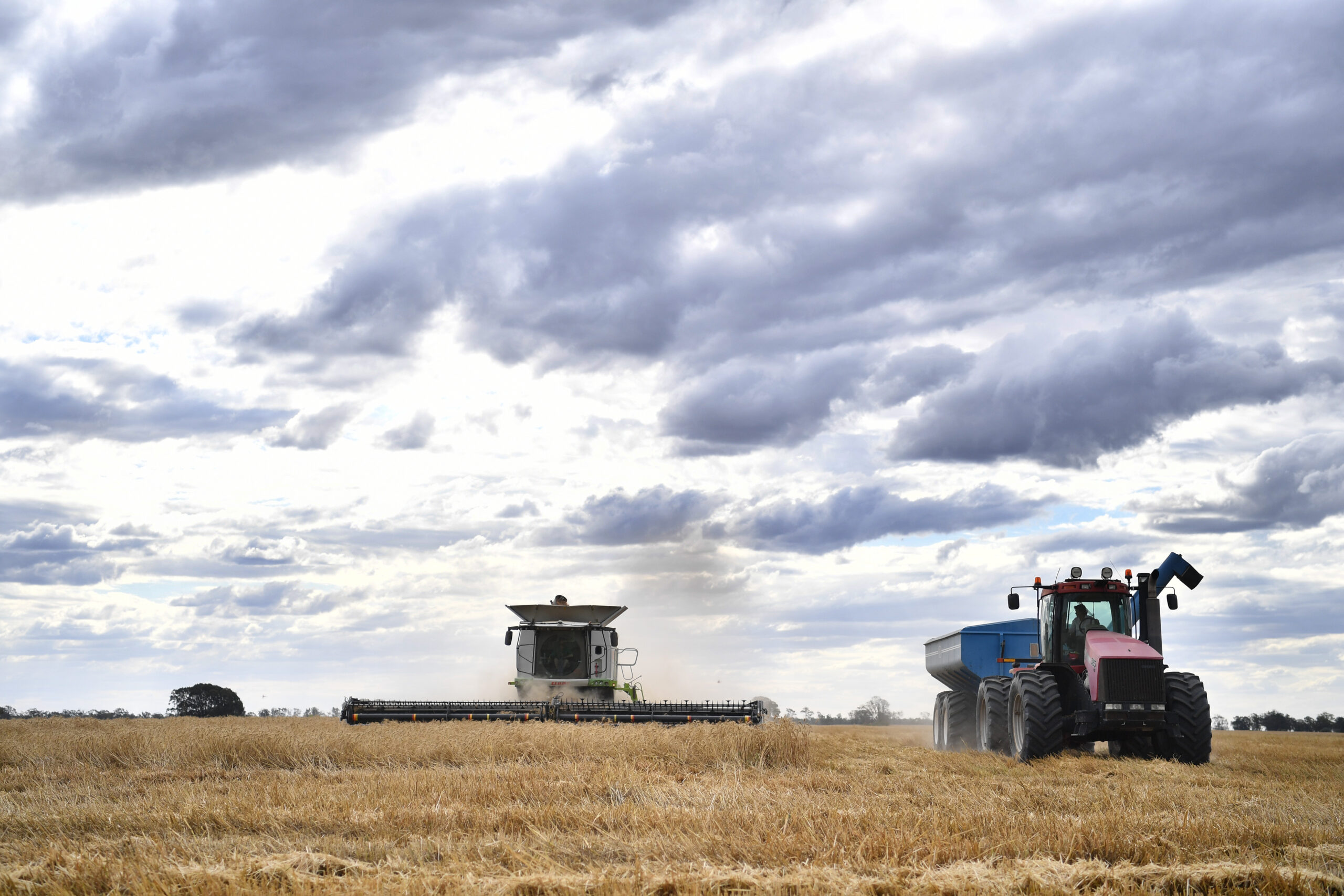 Farmers roundly welcome weedkiller court decision