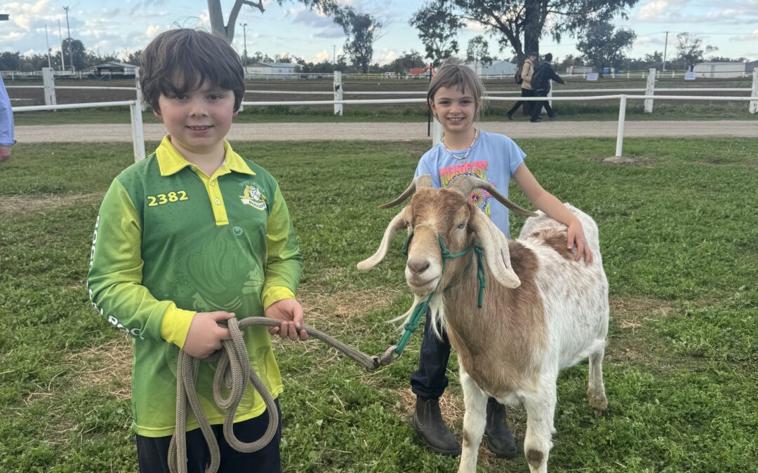 Furry friends, great and small, at pet show