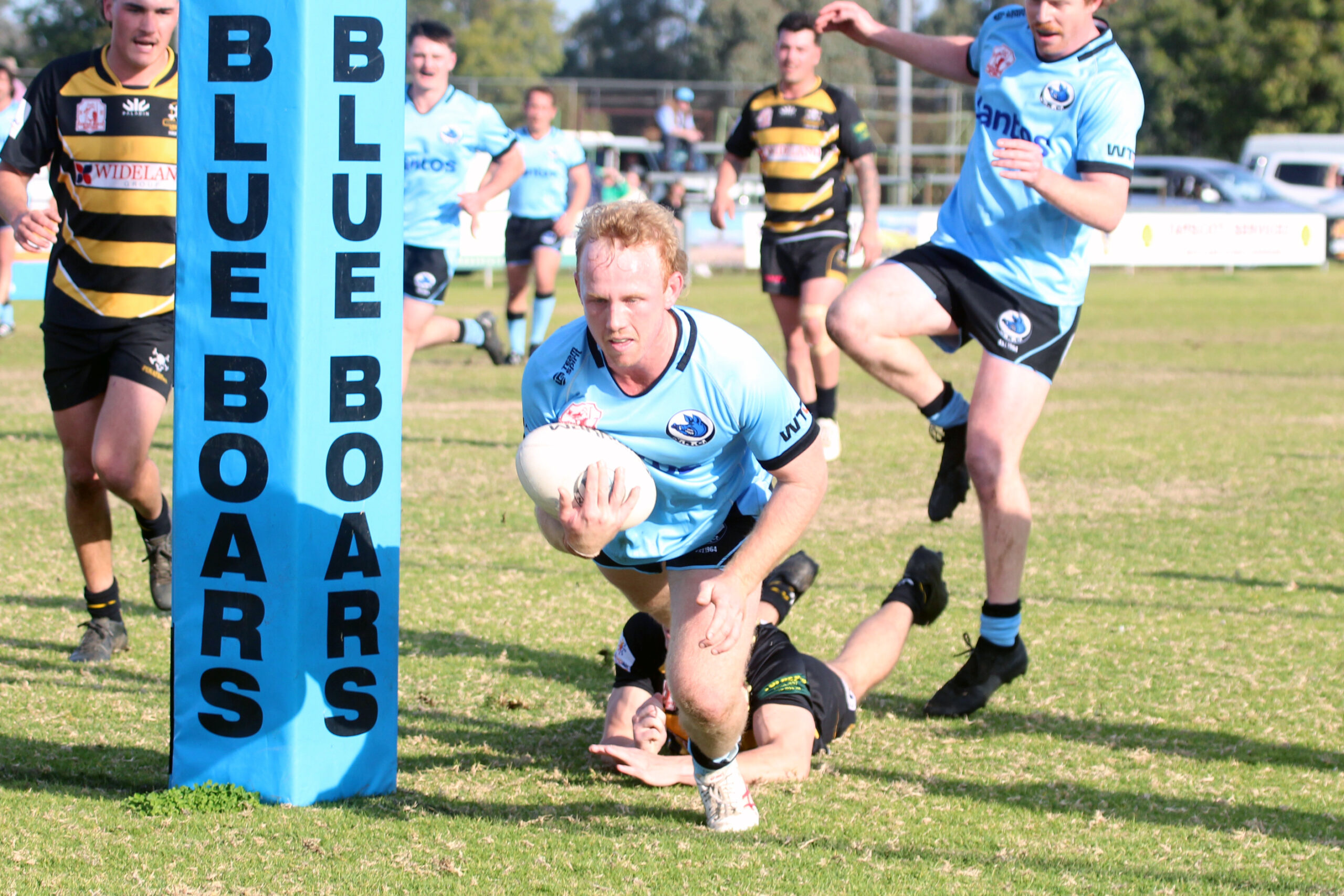 Blue Boars’ first XV earn a crack at the Bulls in the major semi-final