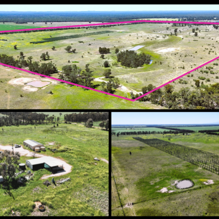 IDEAL BUILD UP BLOCK WITH IRRIGATION LICENCE & INFRASTRUCTURE