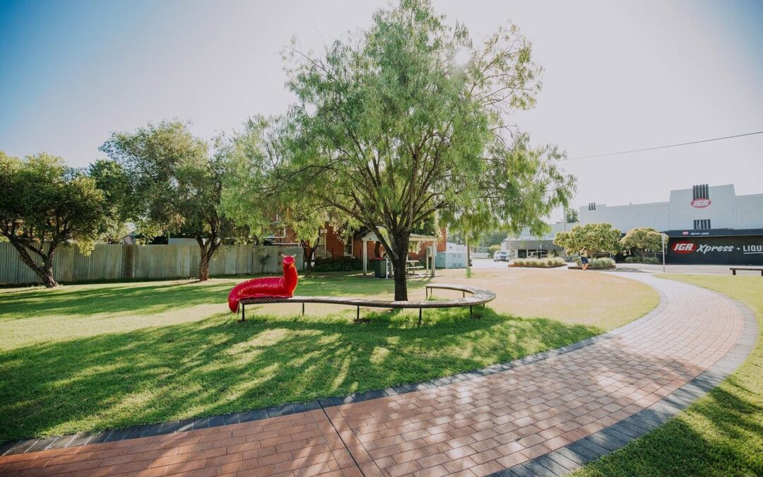 Community rallies to revive main street trading in Boggabri