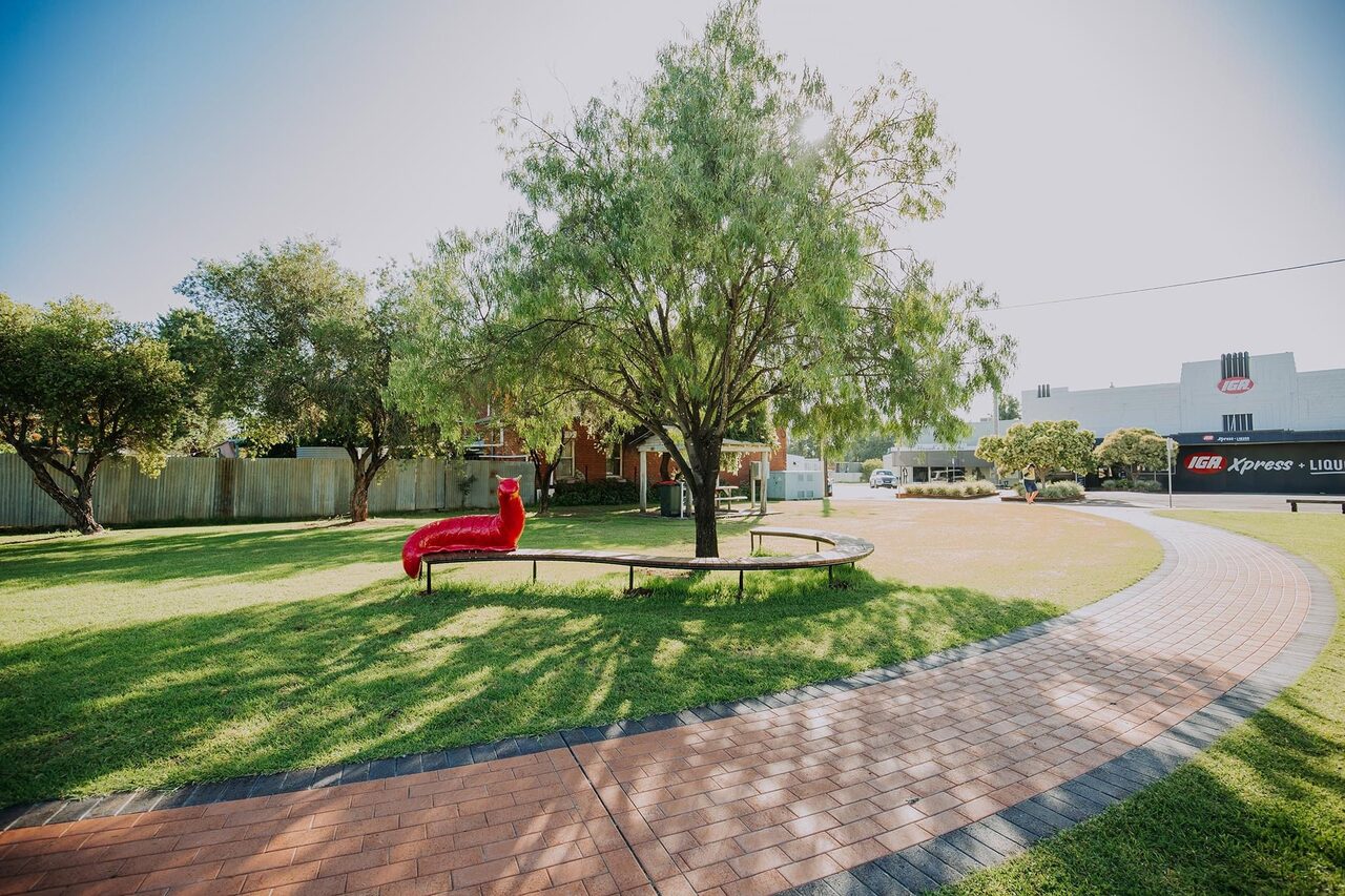 Community rallies to revive main street trading in Boggabri