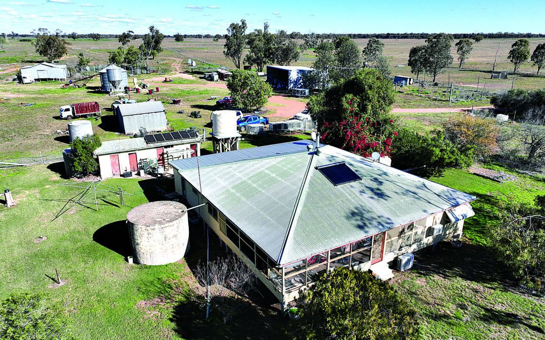“Dalwood” – versatile brigalow farming and grazing