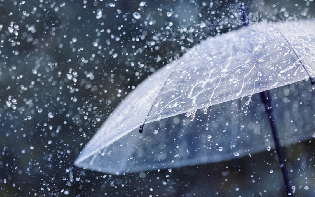 Warm, wet spring could bring severe storms