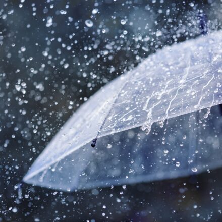 Warm, wet spring could bring severe storms