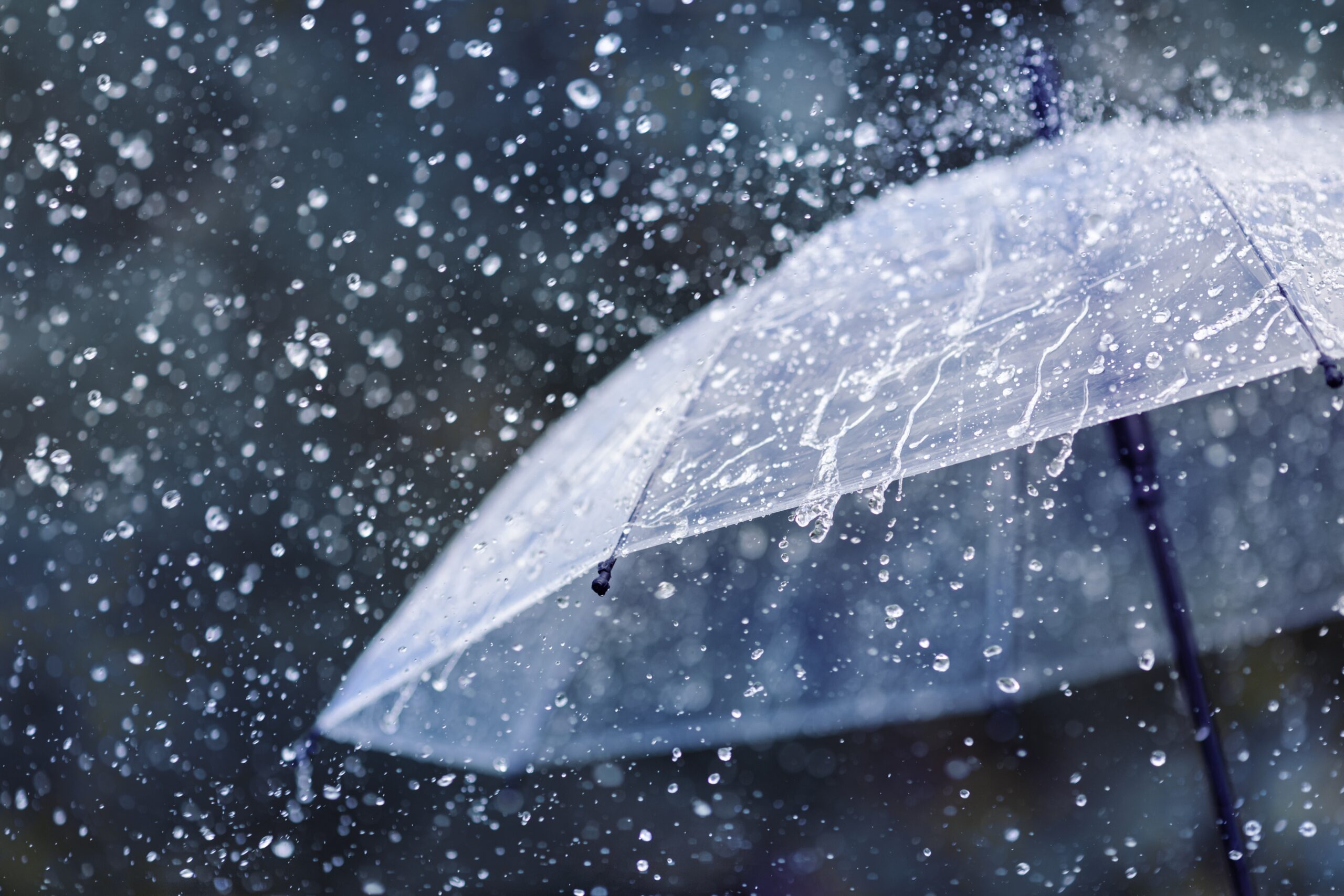 Warm, wet spring could bring severe storms
