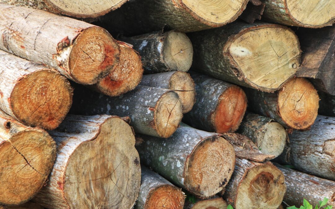 Follow permit conditions, Forestry Corporation says