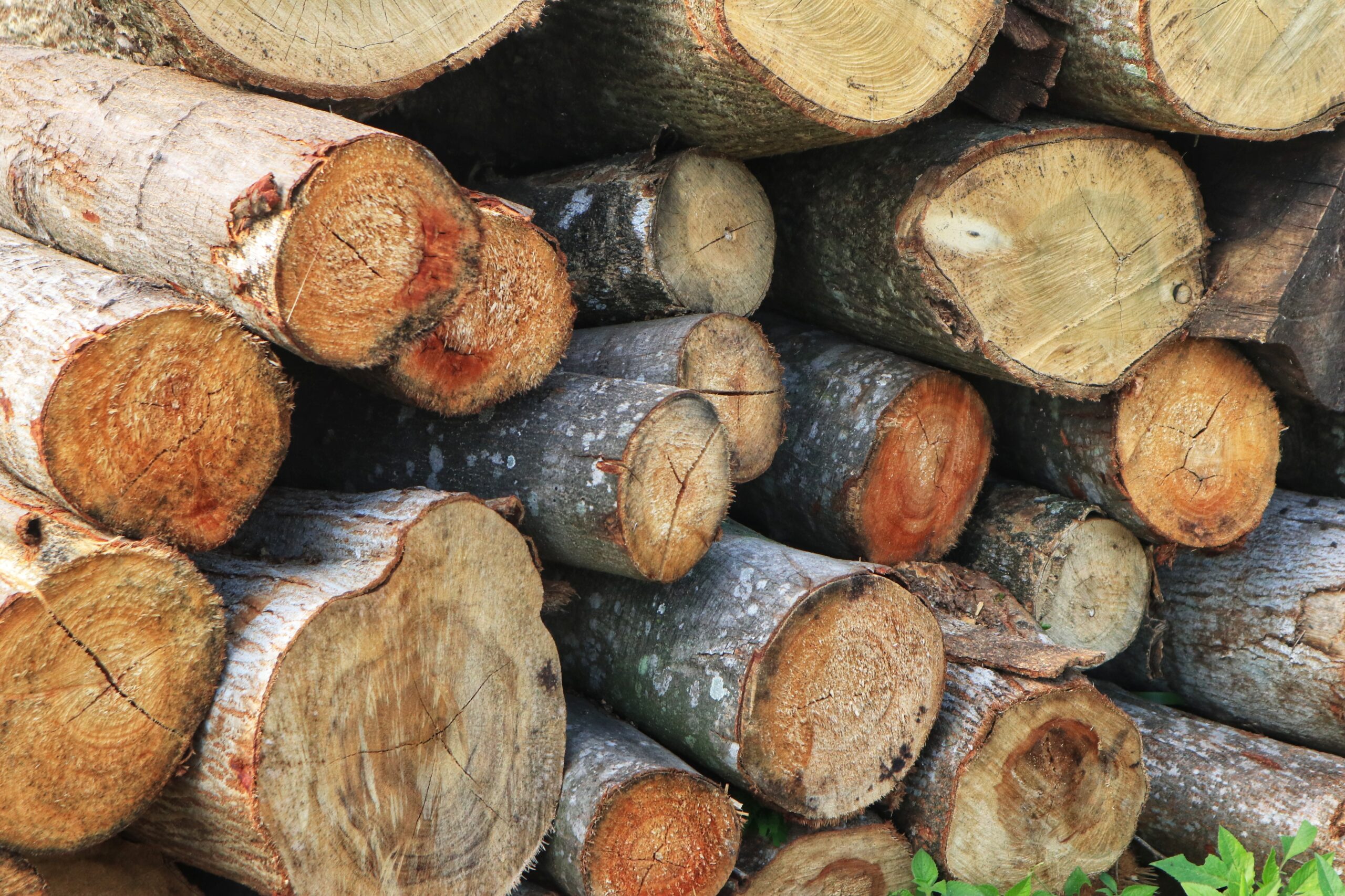 Follow permit conditions, Forestry Corporation says