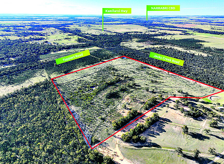 Unique 103 acre building block south of Narrabri