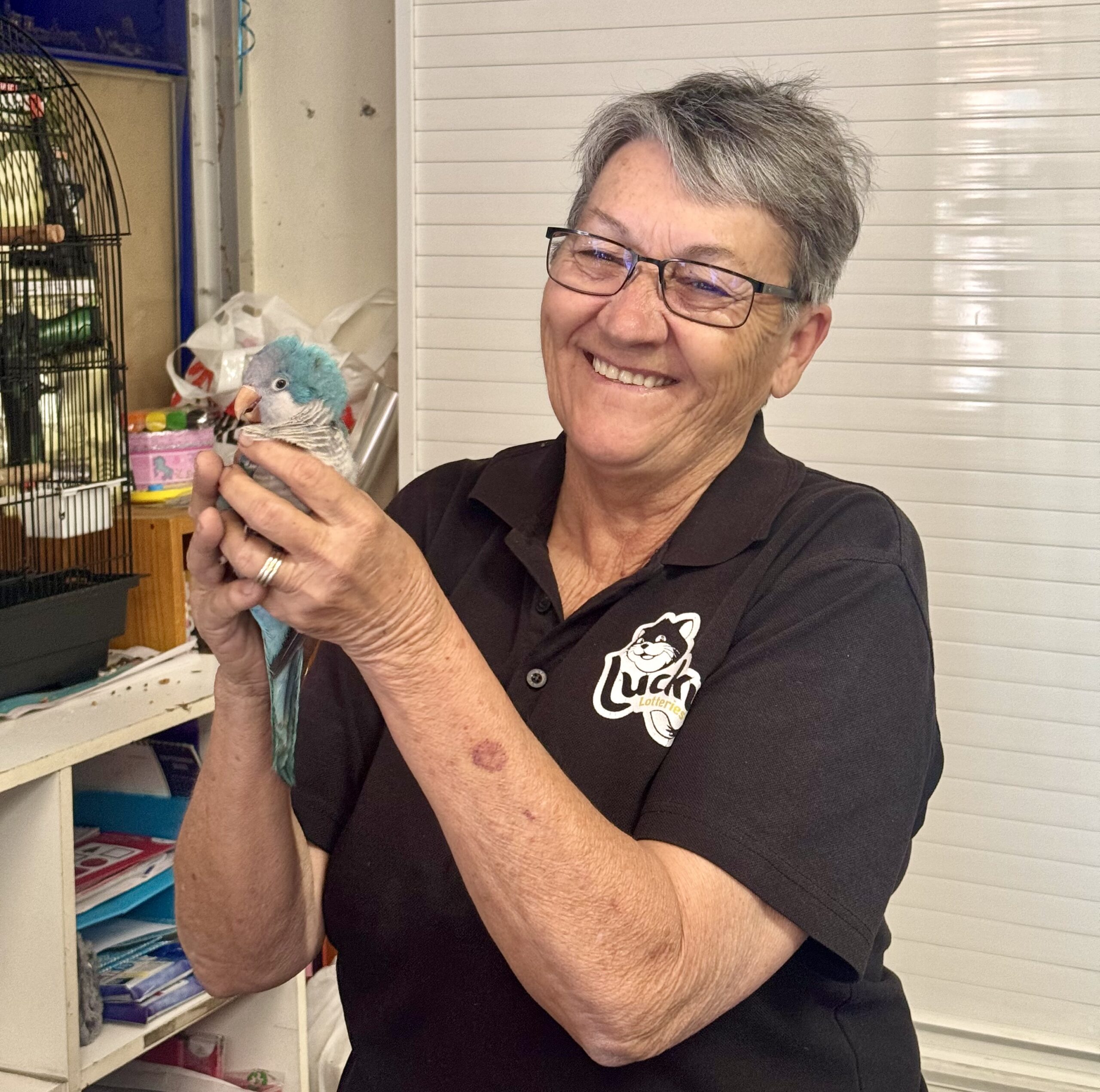 Meet Marvin the mischievous potty-mouthed parrot
