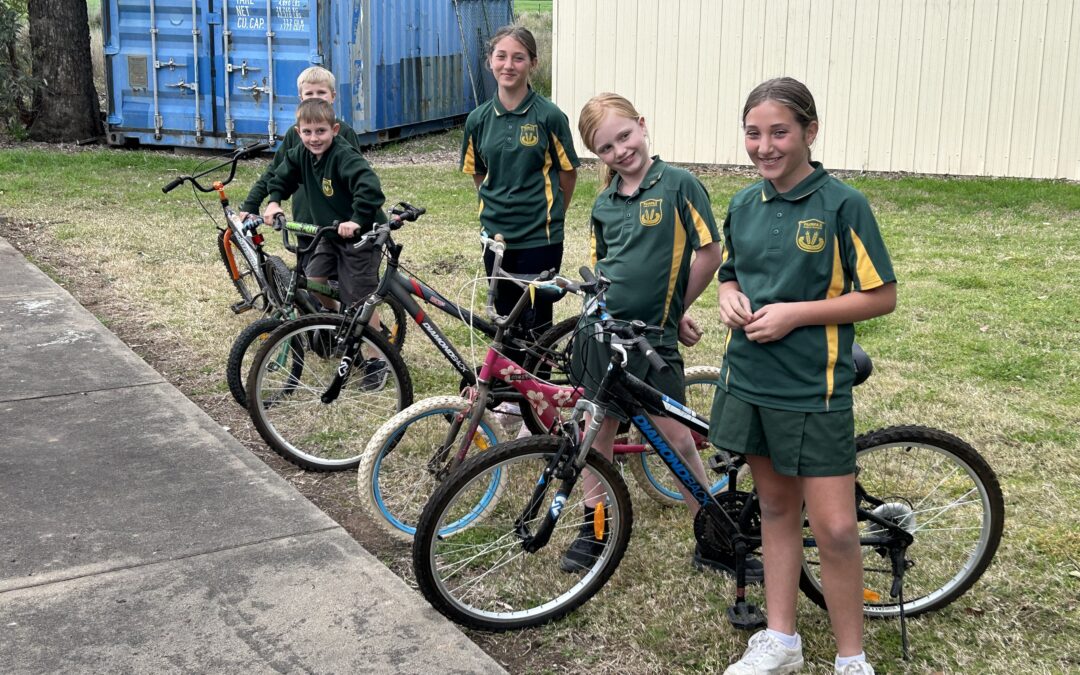 Fairfax students learning the skills of tennis