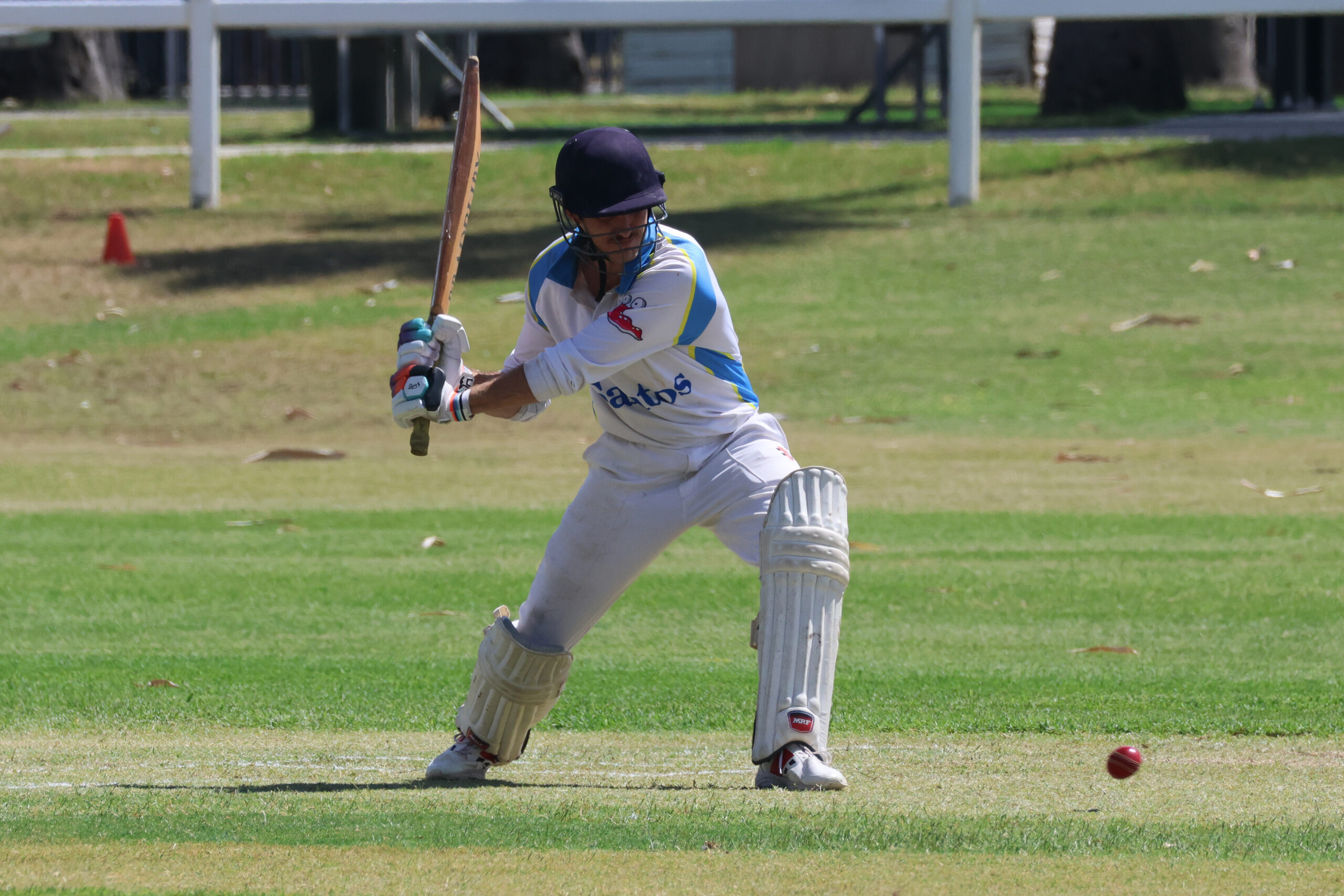 Pink Slugs through to the MA Connolly Cup semi-finals