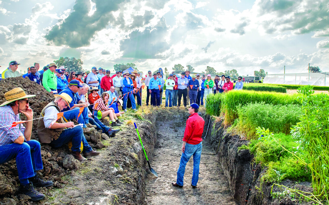 Innovation on show at Narrabri field day