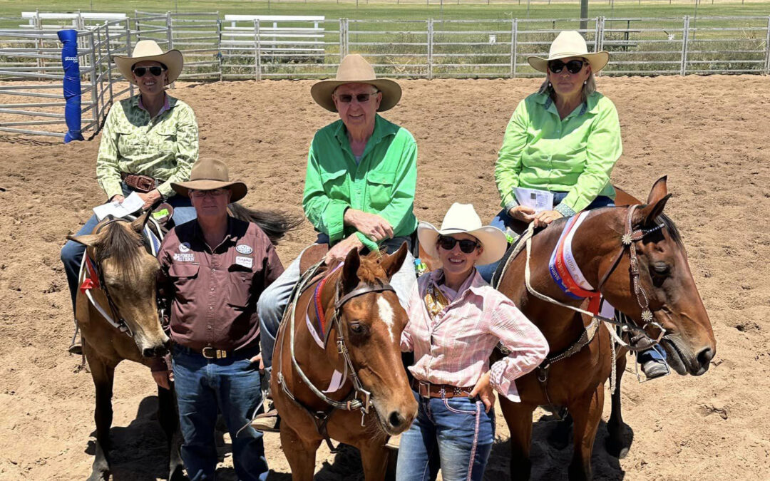 Narrabri Performance Horse Association makes a triumphant return