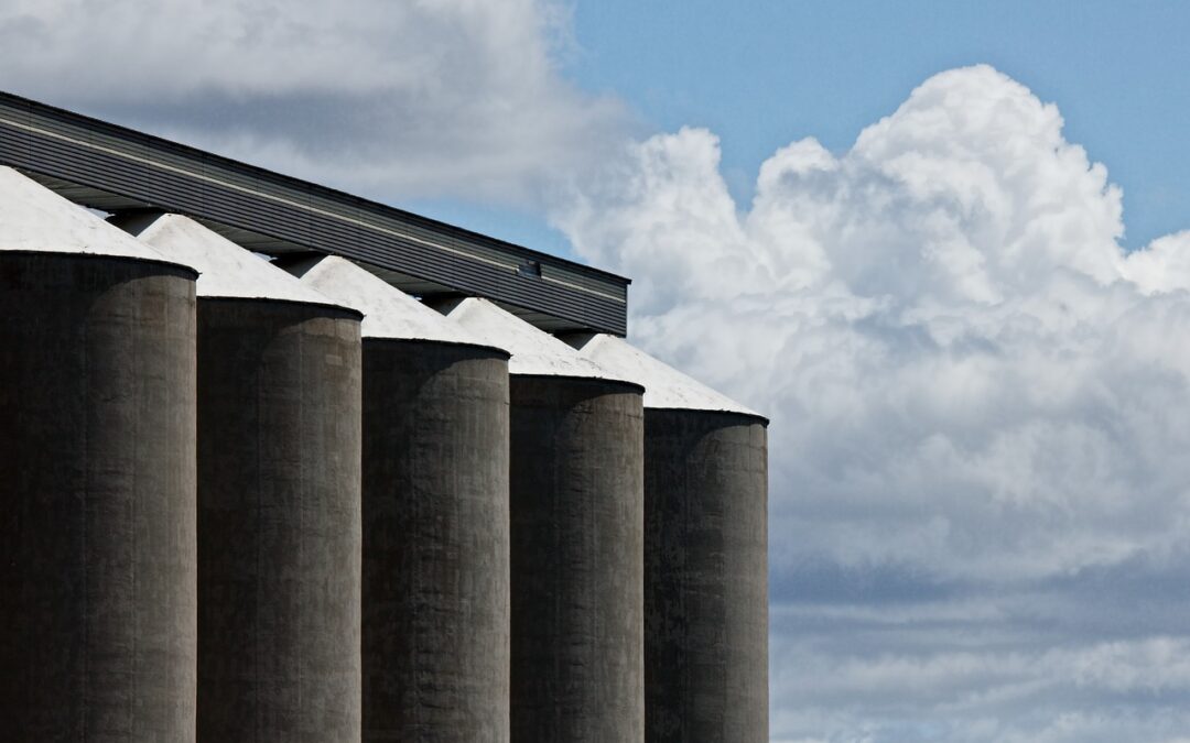 Grain handlers to vote on pay deal