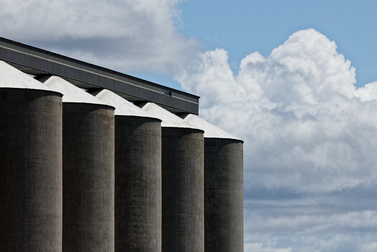 Rural confidence softens as farmers report mixed outlook on year ahead