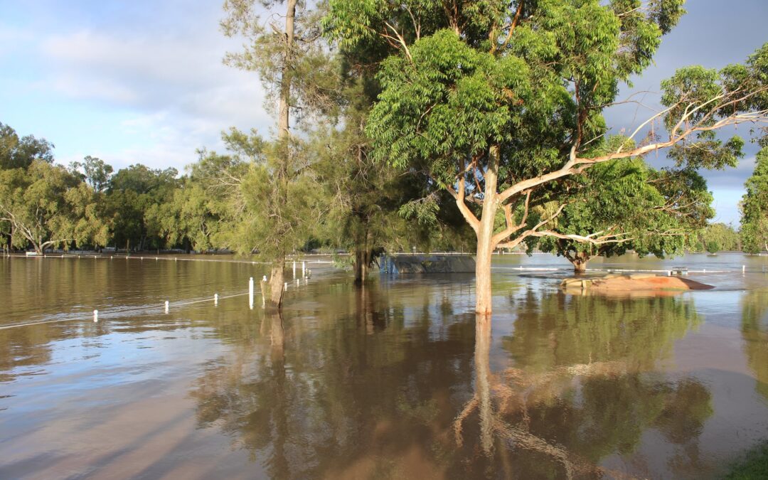 Accelerated disaster payments for Narrabri Shire