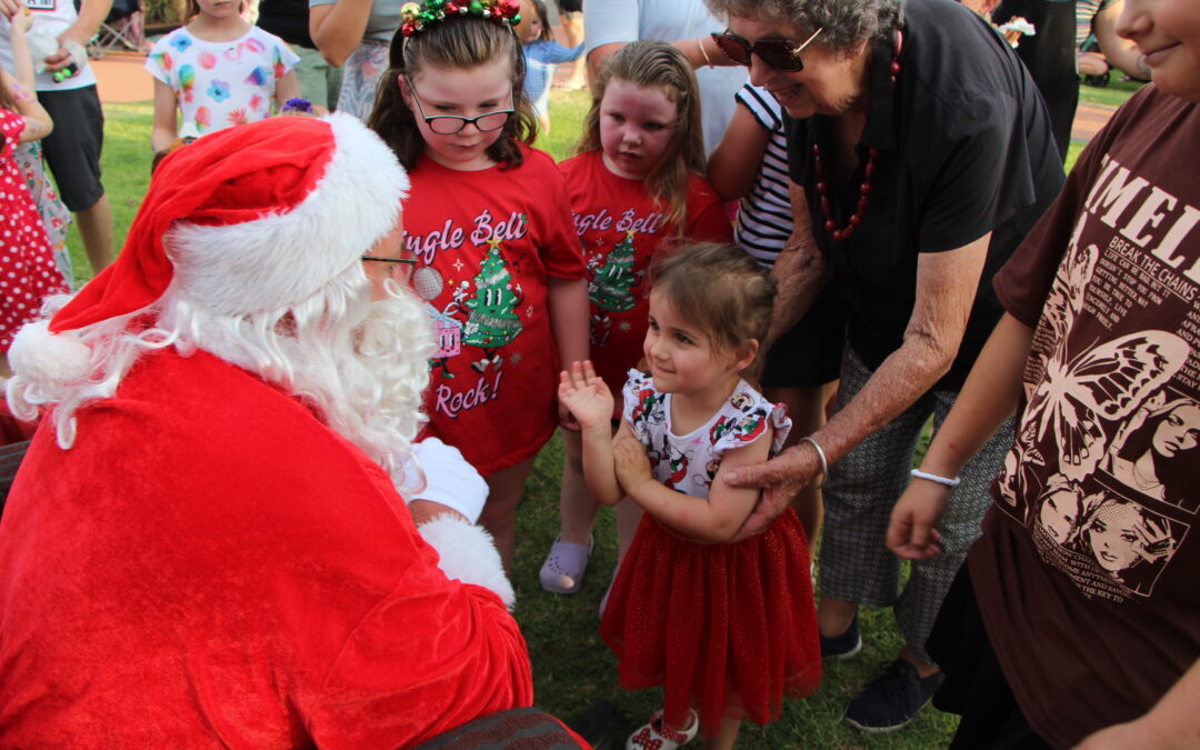 Boggabri night markets and lighting of Christmas tree 2024 | PHOTOS