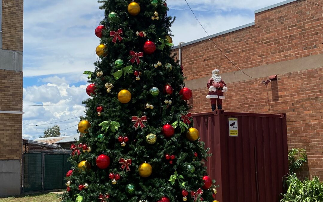 Chamber community Christmas tree returns