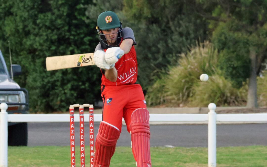 Wilga Hotel Razorbacks keep T20 grand final hopes alive with win against Tatts