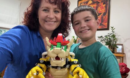 Connecting with Bricks: Lego Workshops